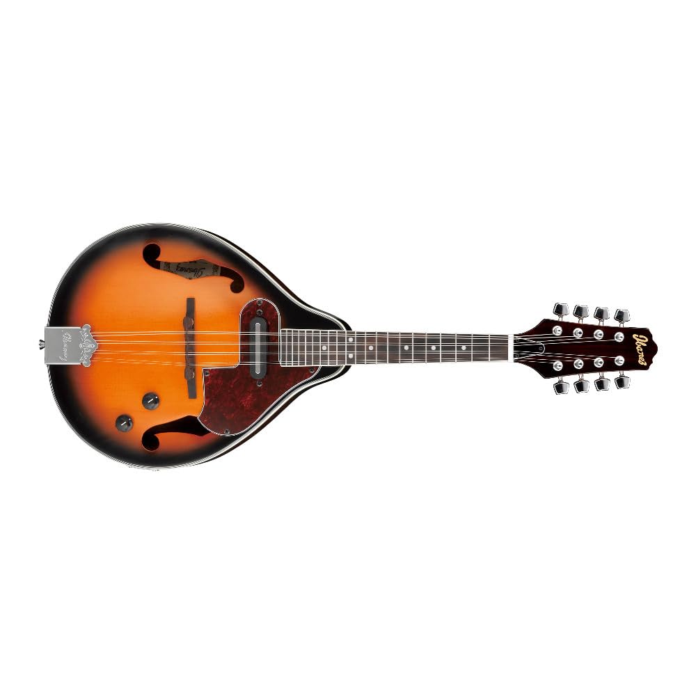 Acoustic-electric Mandolin K3378