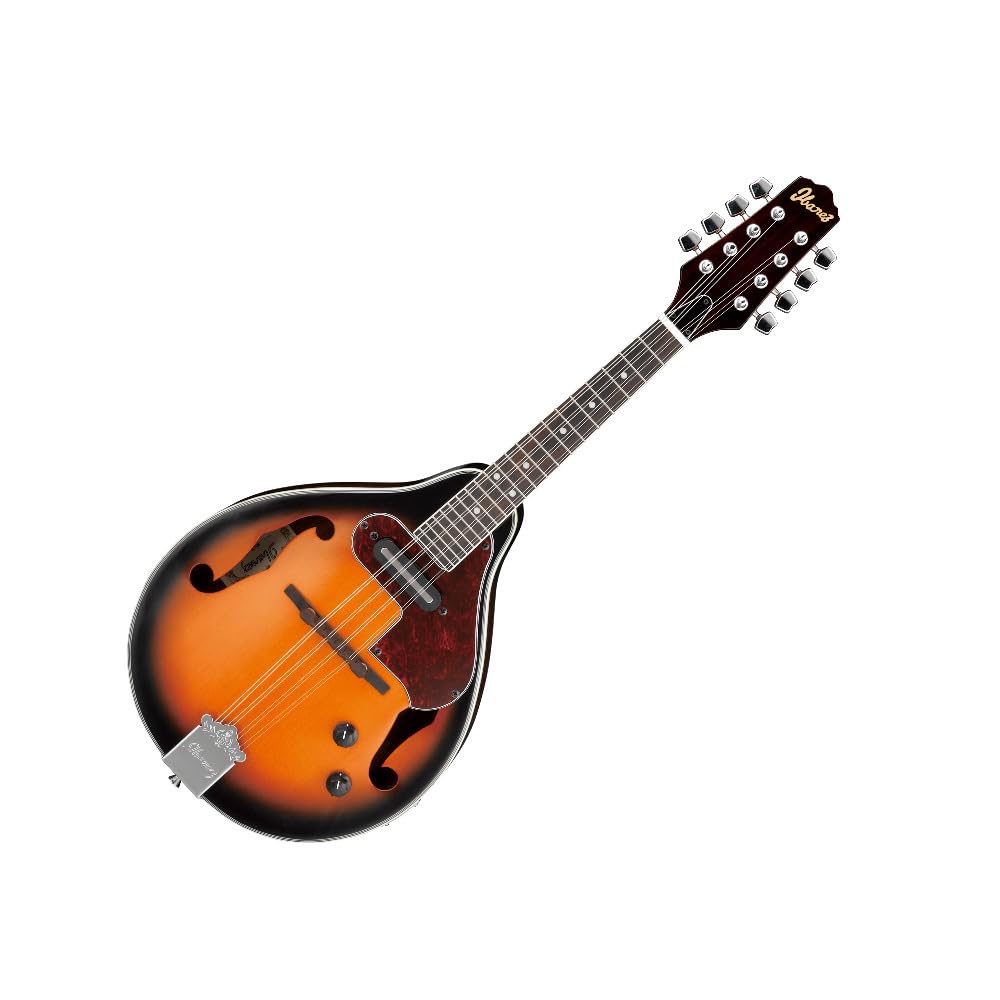 Acoustic-electric Mandolin K3378
