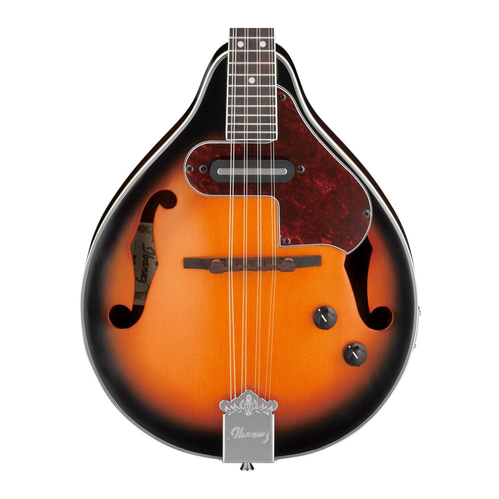 Acoustic-electric Mandolin K3378