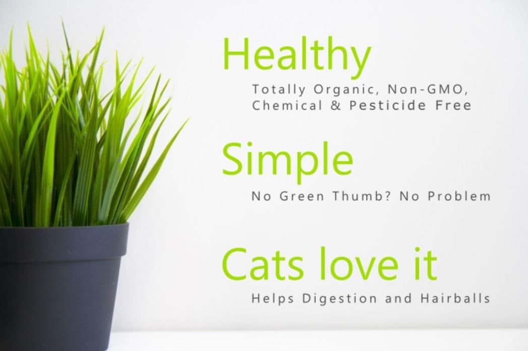 100% Organic Cat Grass Seed Mix 6 Ounce U8882