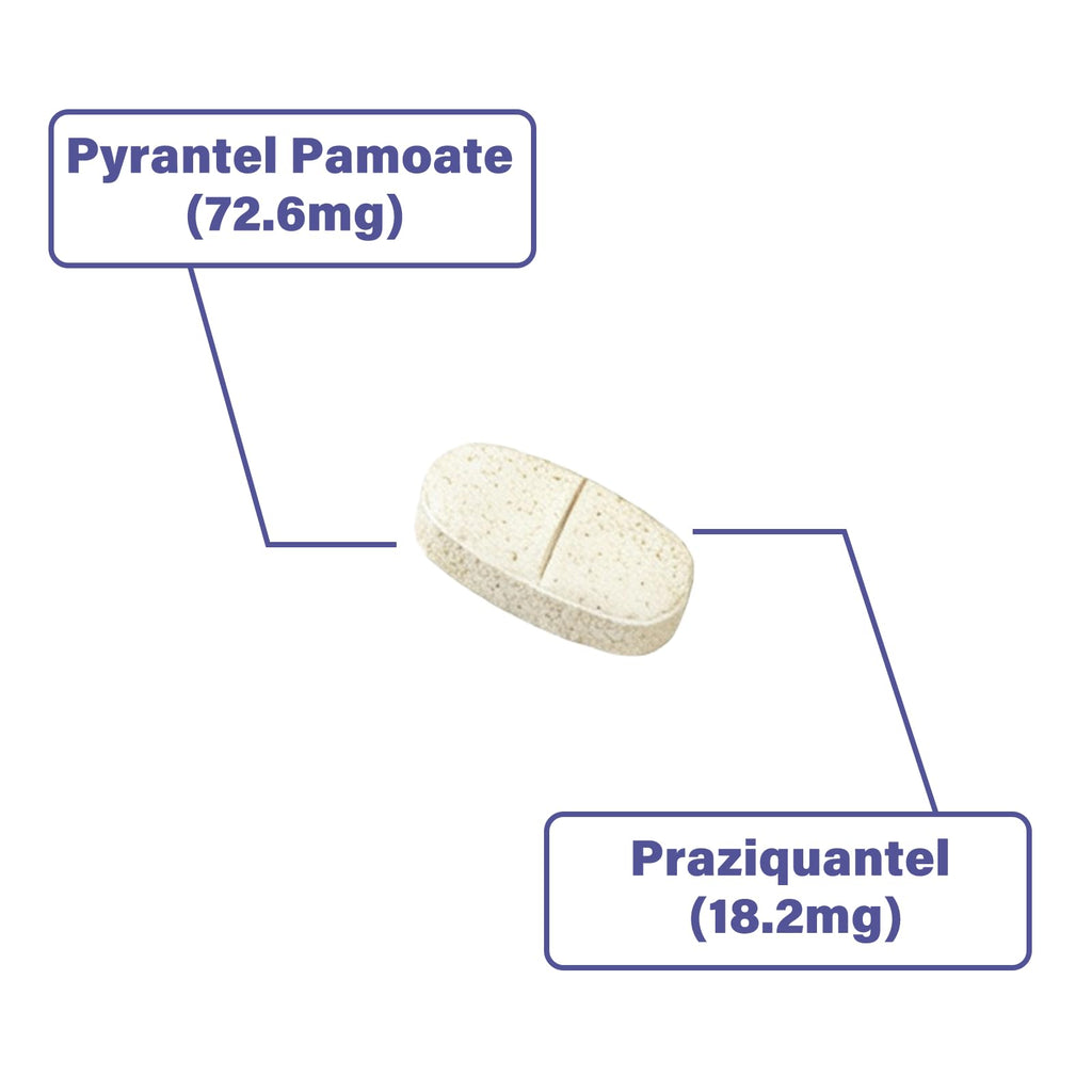 Puppies and Small Dogs Dewormer Chewables G8573