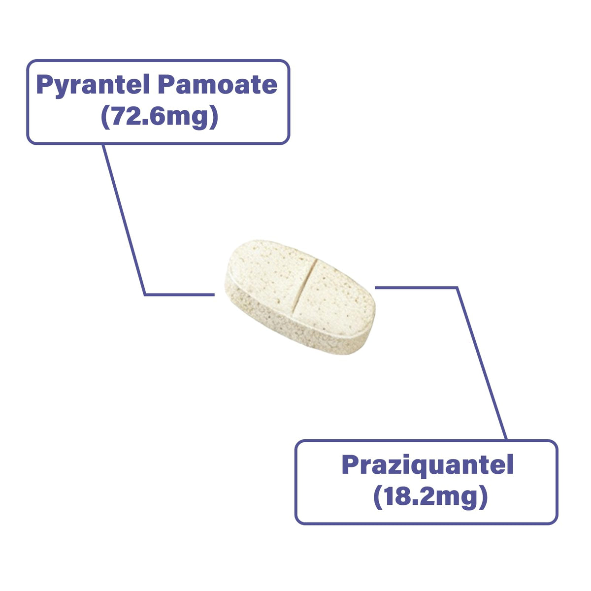 Puppies and Small Dogs Dewormer Chewables G8573