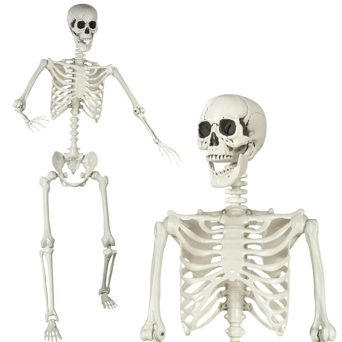 5.4ft Posable Skeleton F11103