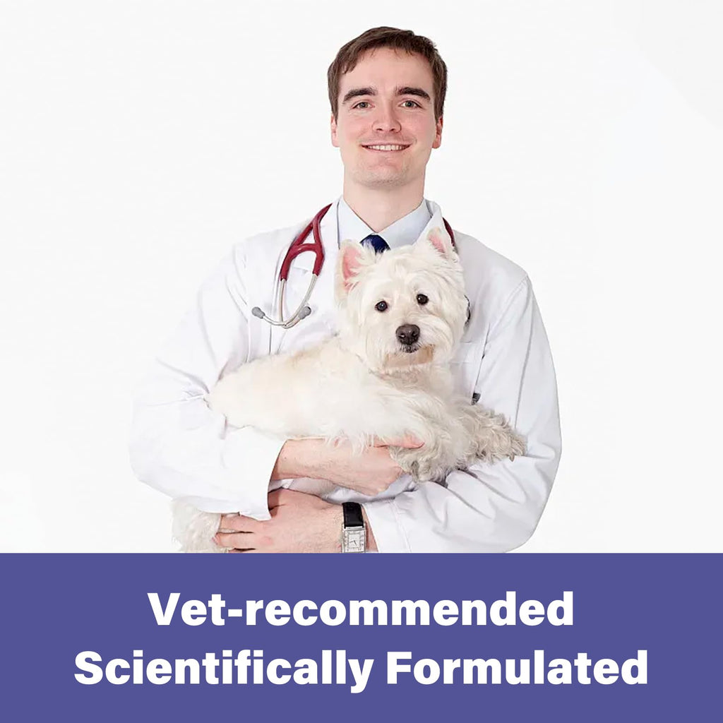 Puppies and Small Dogs Dewormer Chewables G8573