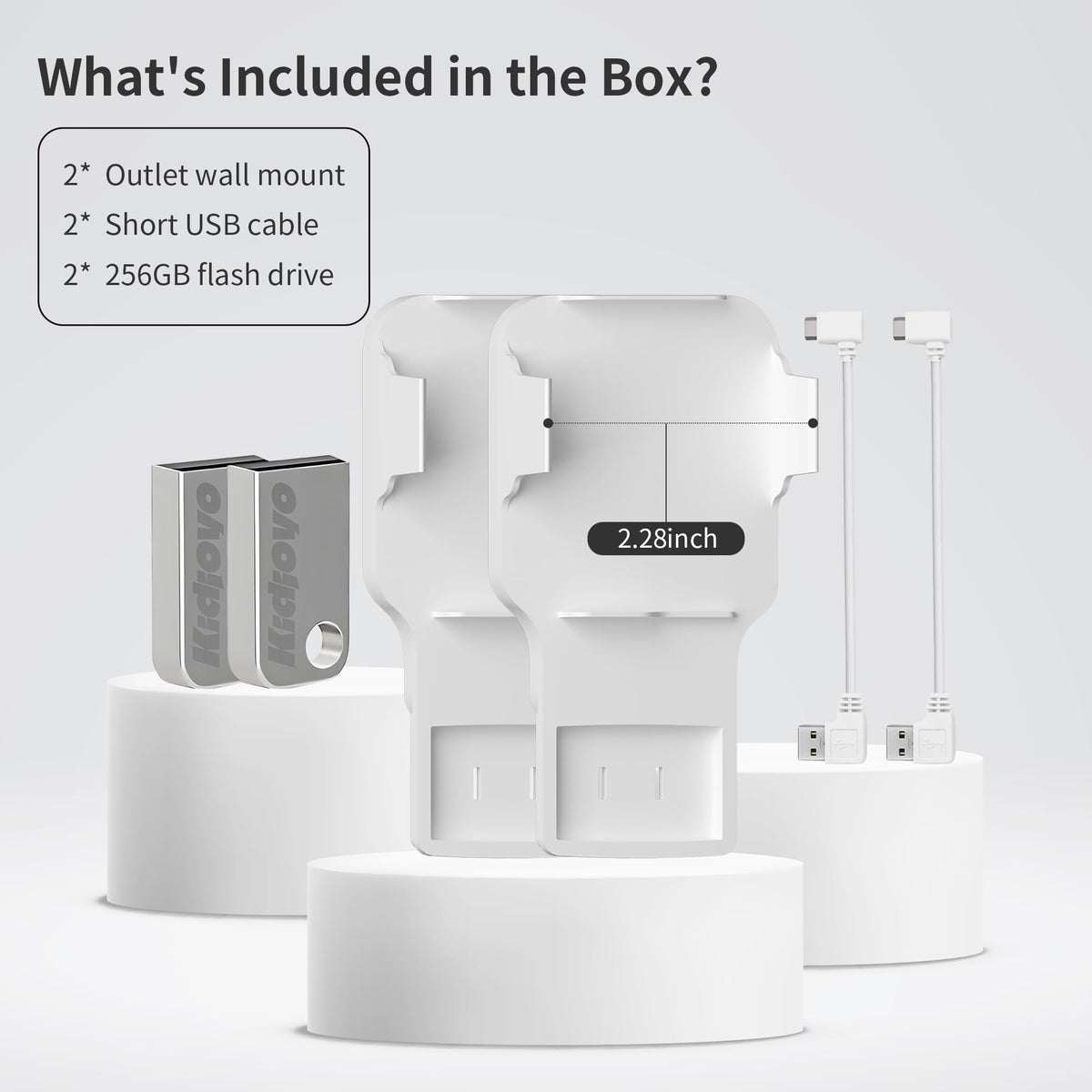 256GB USB Flash Drive & Wall Mount (2 Pack) J5830