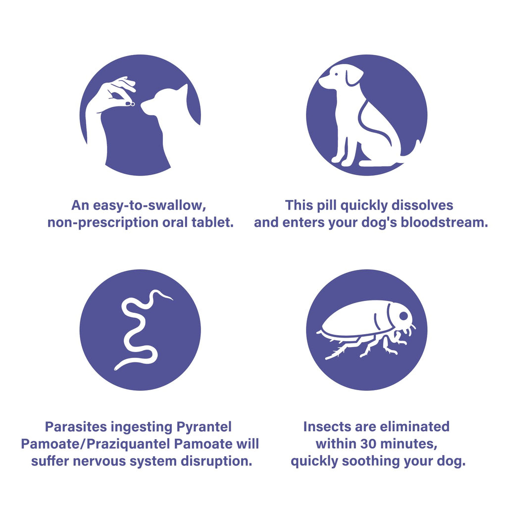 Puppies and Small Dogs Dewormer Chewables G8573