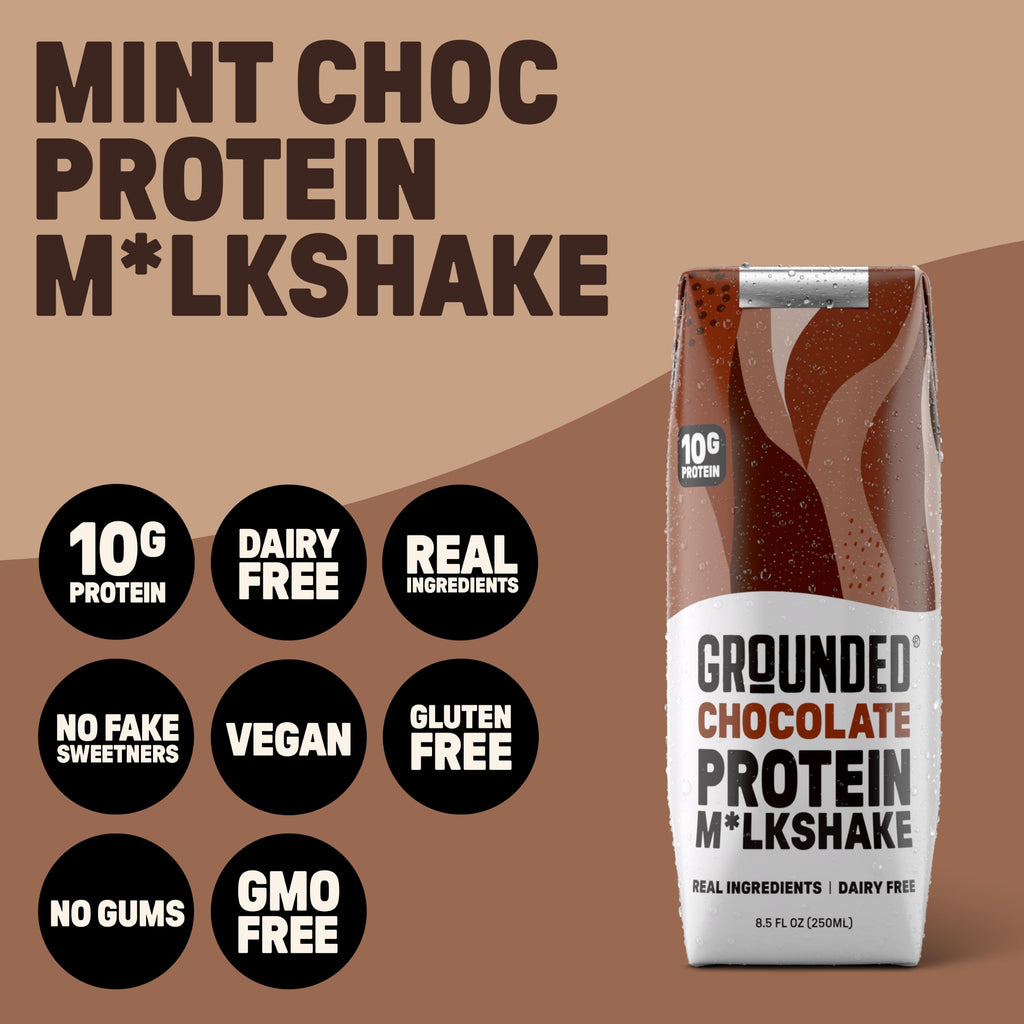Chocolate Milk, Dairy Free, 10g Protein, 8.5 fl oz, 12 Pack W281
