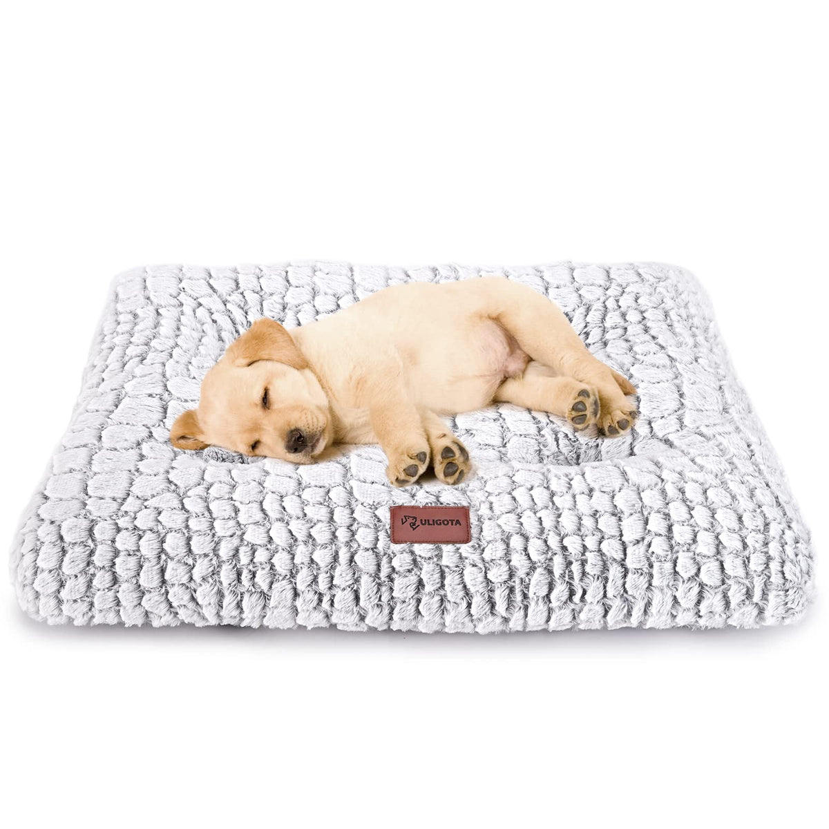 White Dog Crate Pad 24"x18" C614721