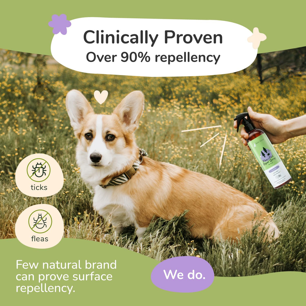 Lavender Mint Dog Coat Spray 12 fl oz B603