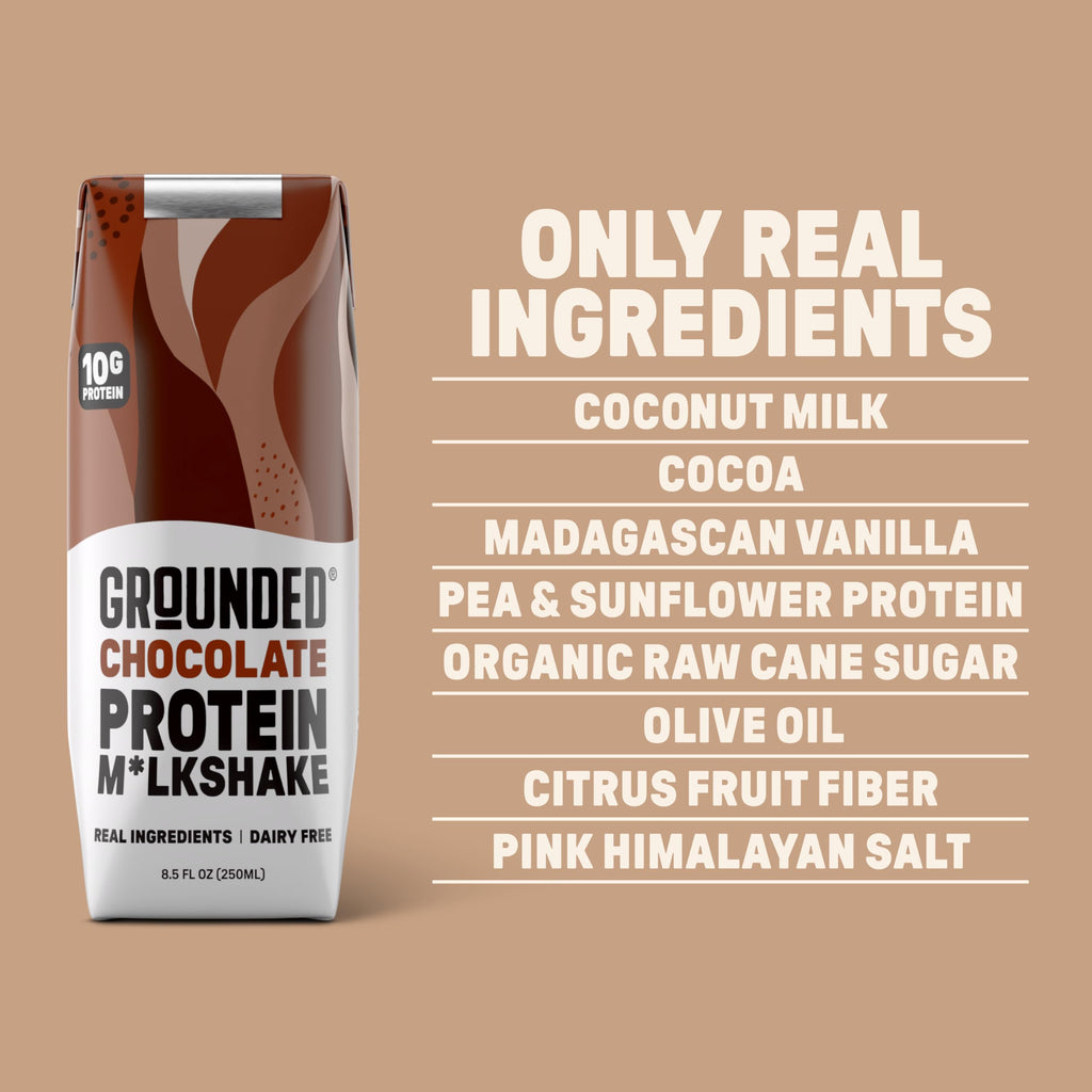 Chocolate Milk, Dairy Free, 10g Protein, 8.5 fl oz, 12 Pack W281