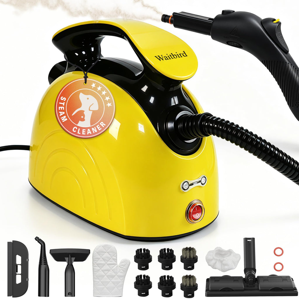 4.5 Bar 300°F Steam Cleaner C622888
