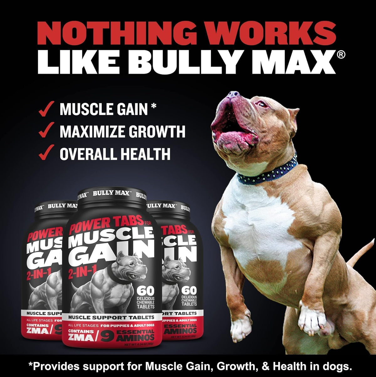 Dog Weight Gainer Chews & Muscle Builder Tablets & Liquid Muscle Builder Supplement V549