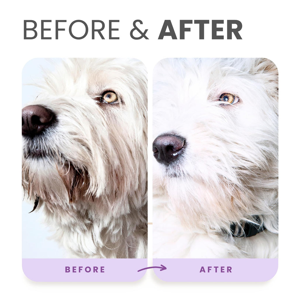 Brightening Dog Shampoo with Aloe & Provitamin B5 16oz L82339