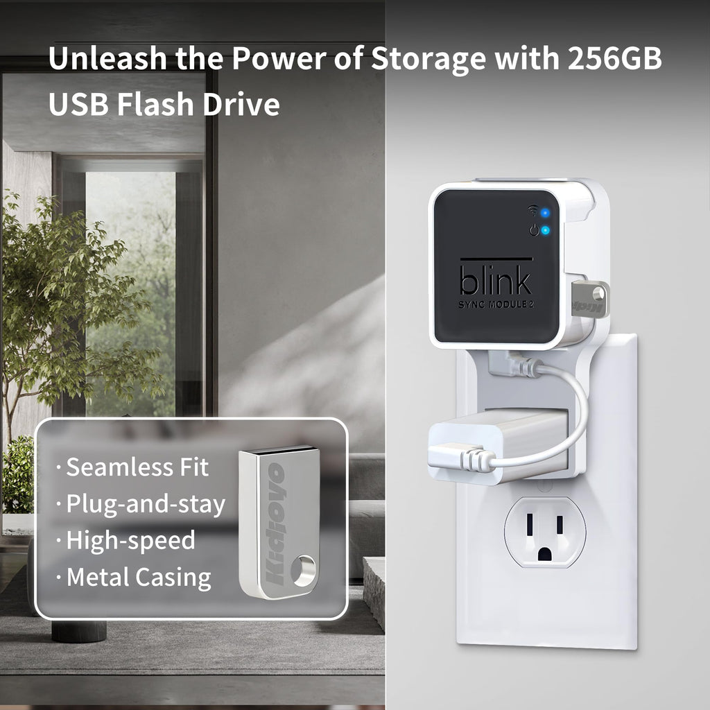 256GB USB Flash Drive & Wall Mount (2 Pack) J5830