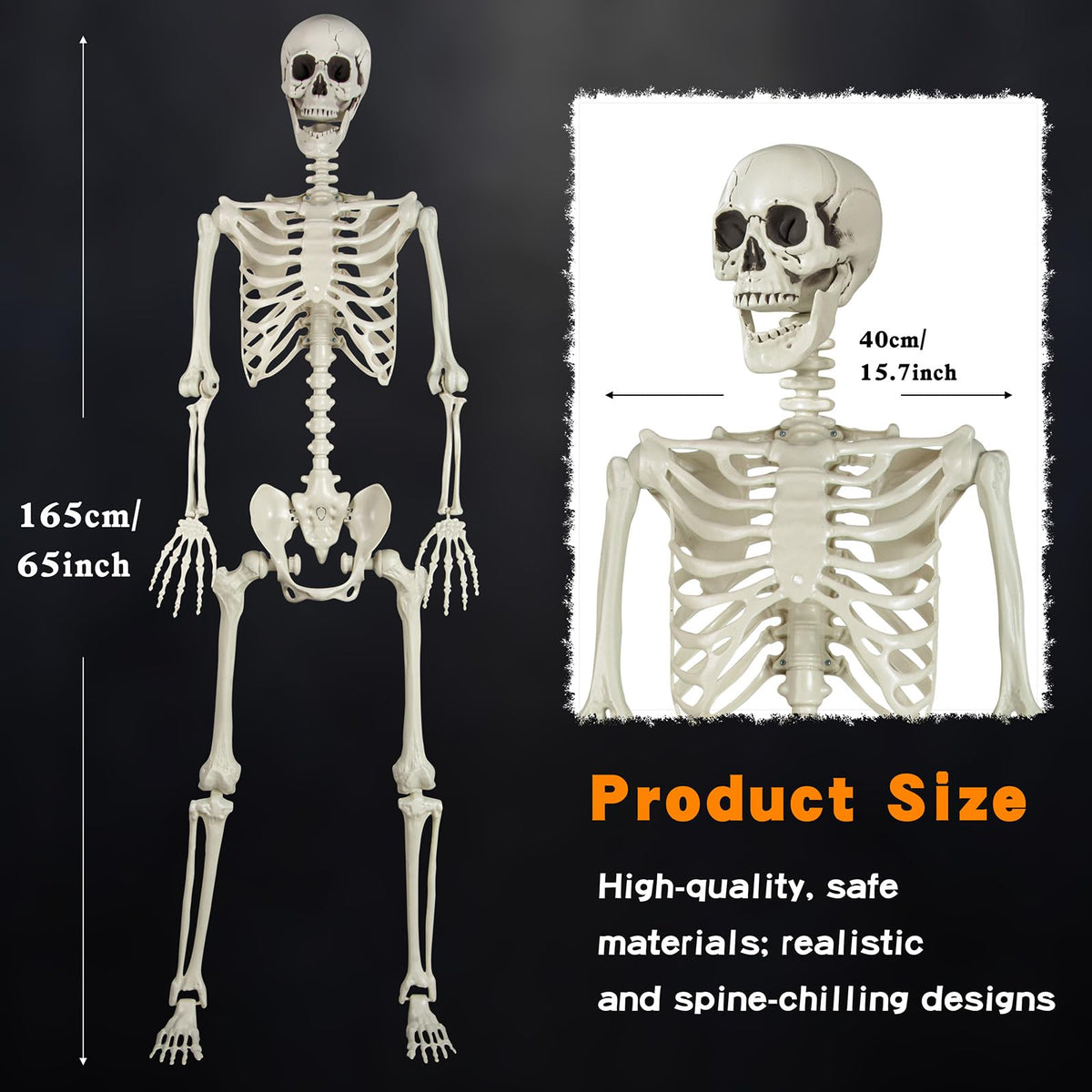 5.4ft Posable Skeleton F11103