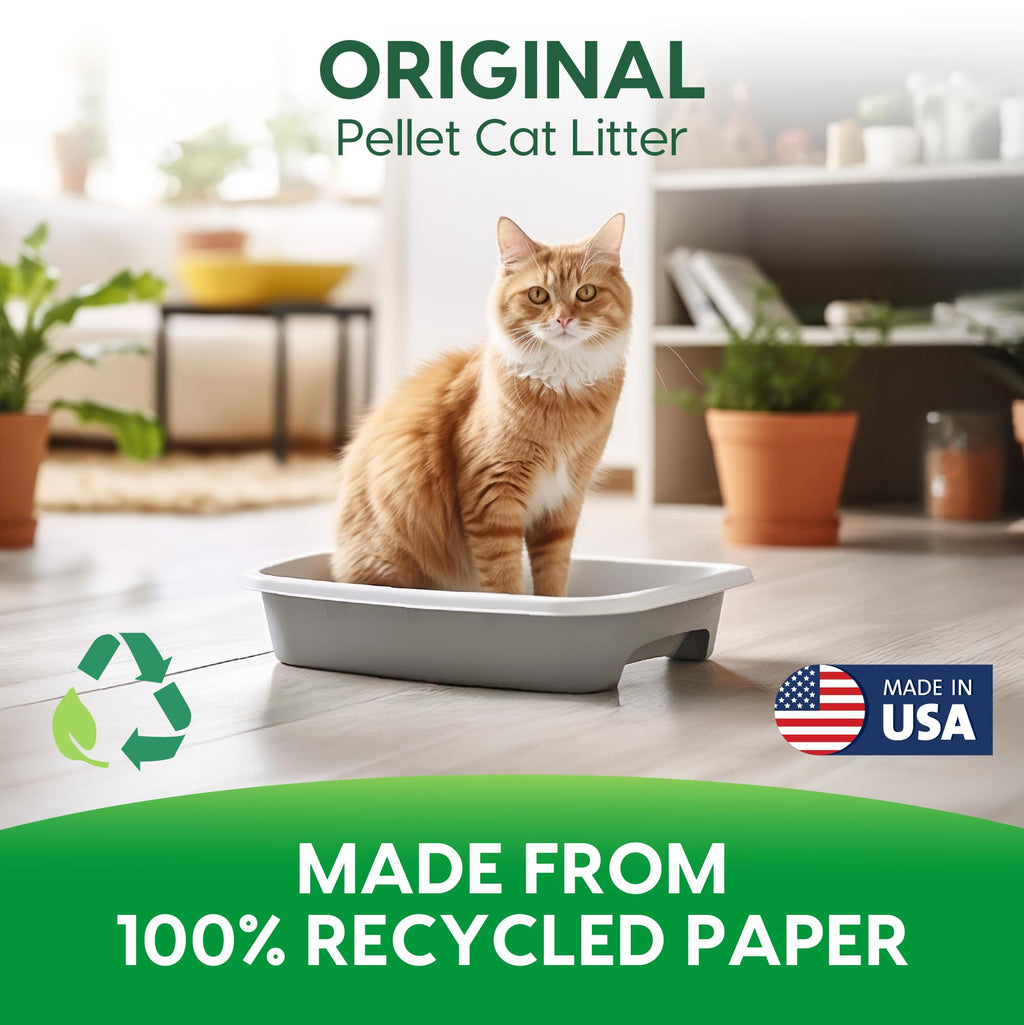 Non-Clumping Paper Cat Litter 25 Pound Y62805