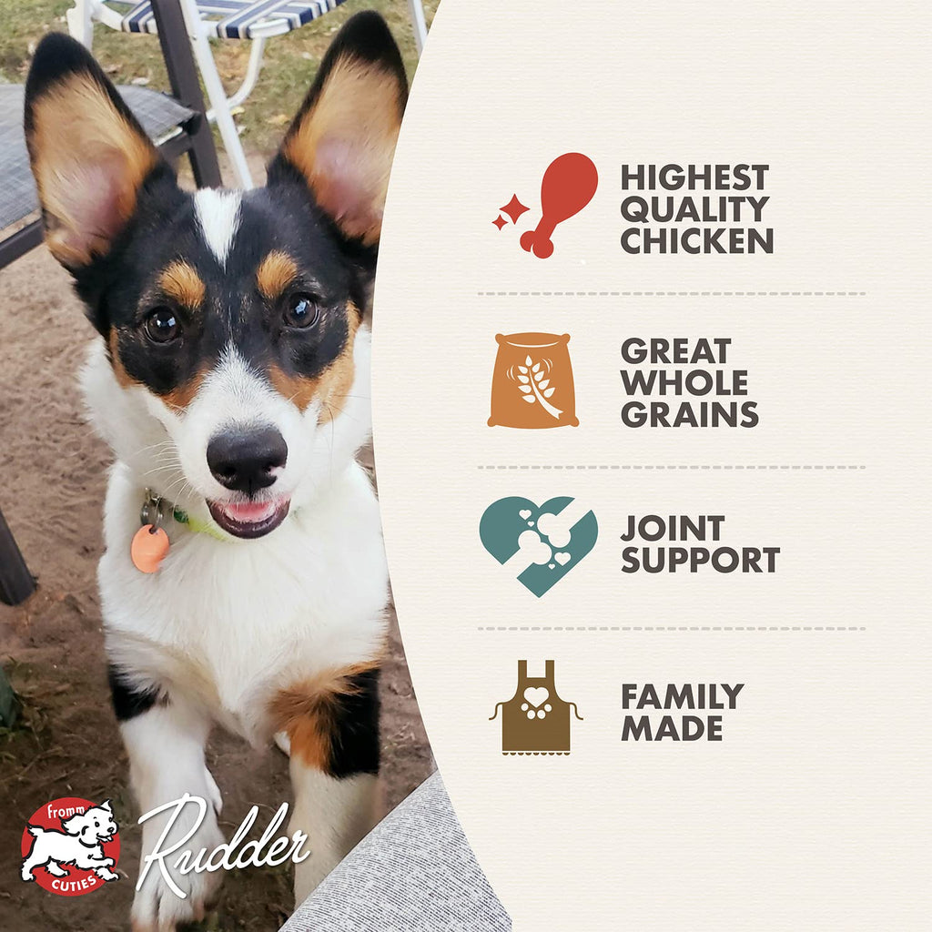 Dry Puppy Food Chicken Recipe 15 lb V987409