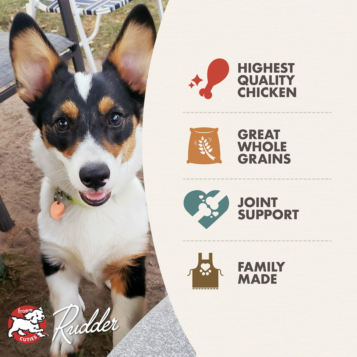 Dry Puppy Food Chicken Recipe 15 lb V987409