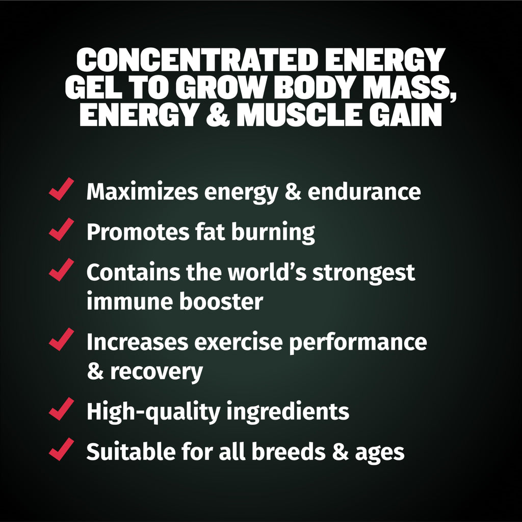 Dog Weight Gainer Chews & Muscle Builder Tablets & Liquid Muscle Builder Supplement V549