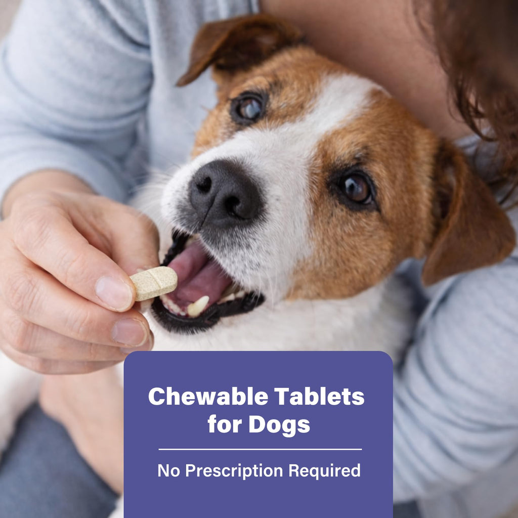 Puppies and Small Dogs Dewormer Chewables G8573
