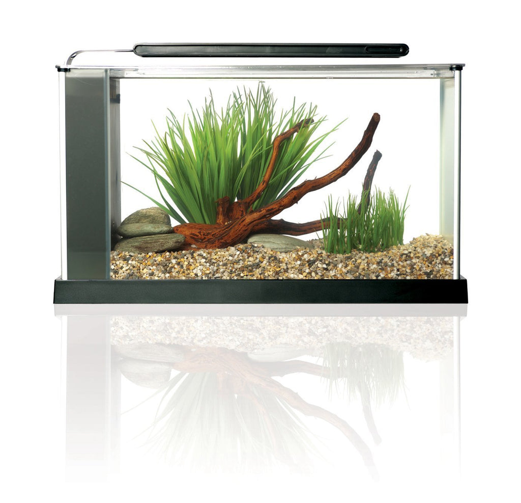 5-Gallon Aquarium Kit D5372