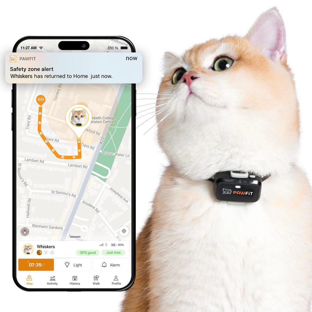 4G GPS Cat Tracker, Ultra-Light, Onyx Black K6070