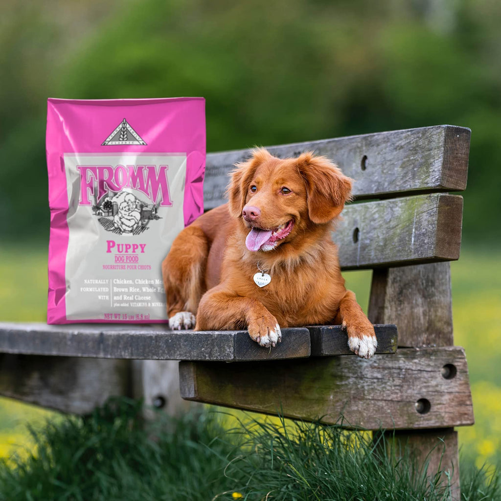 Dry Puppy Food Chicken Recipe 15 lb V987409