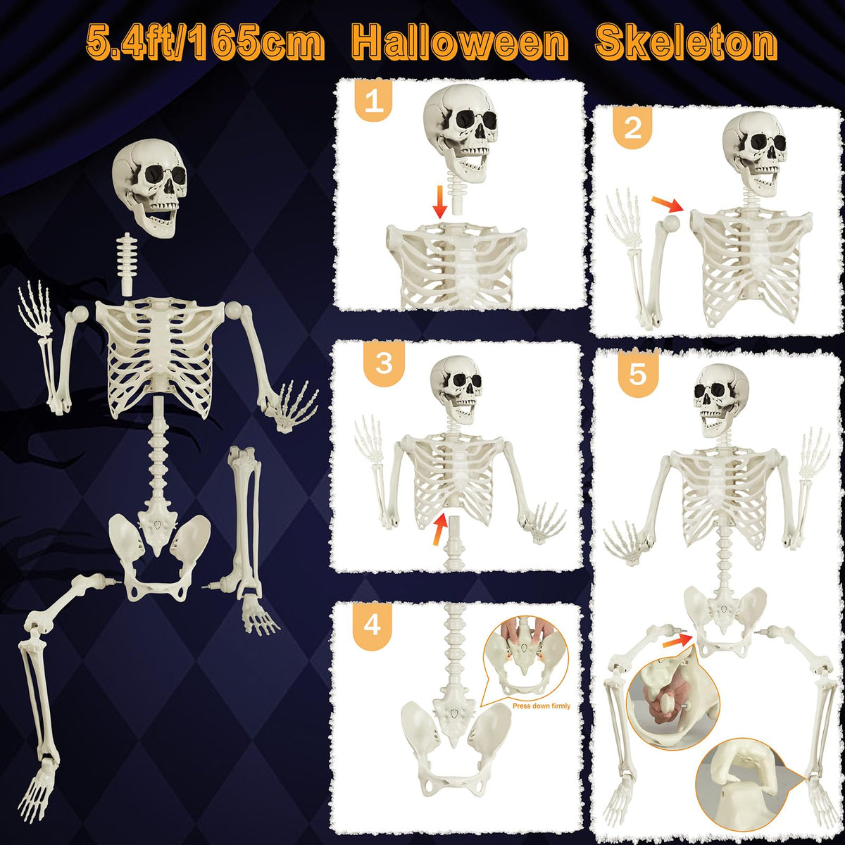 5.4ft Posable Skeleton F11103