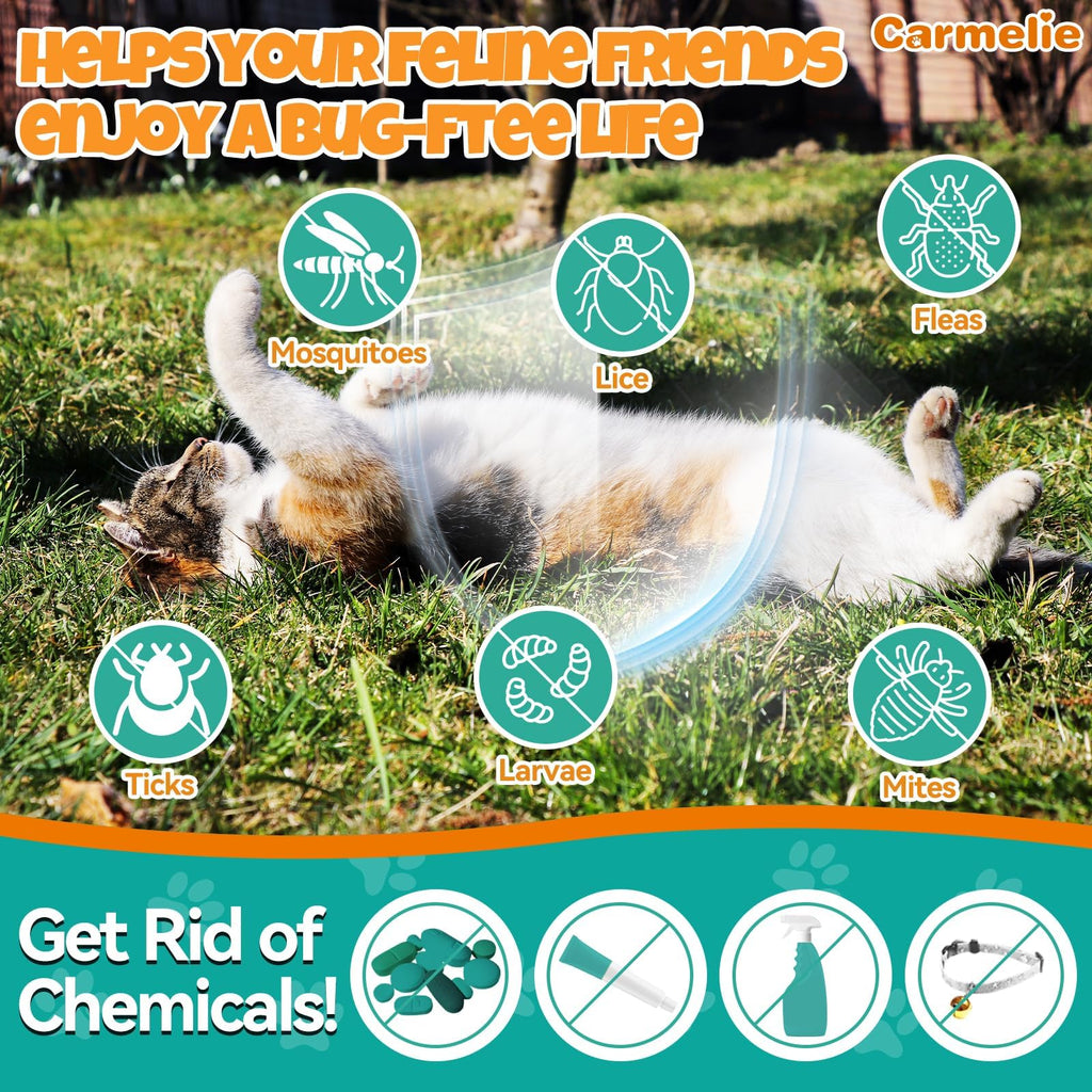 Flea and Tick Prevention for Cat with Vitamins Fish Oil 2 fl oz S2598