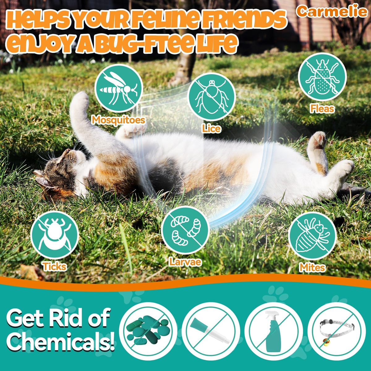 Flea and Tick Prevention for Cat with Vitamins Fish Oil 2 fl oz S2598