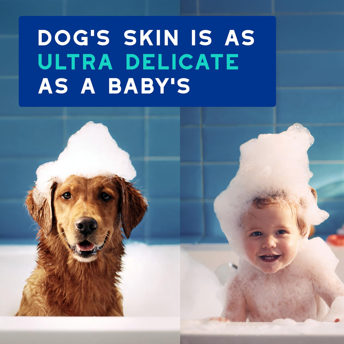 Dog Shampoo 16 fl oz C37383