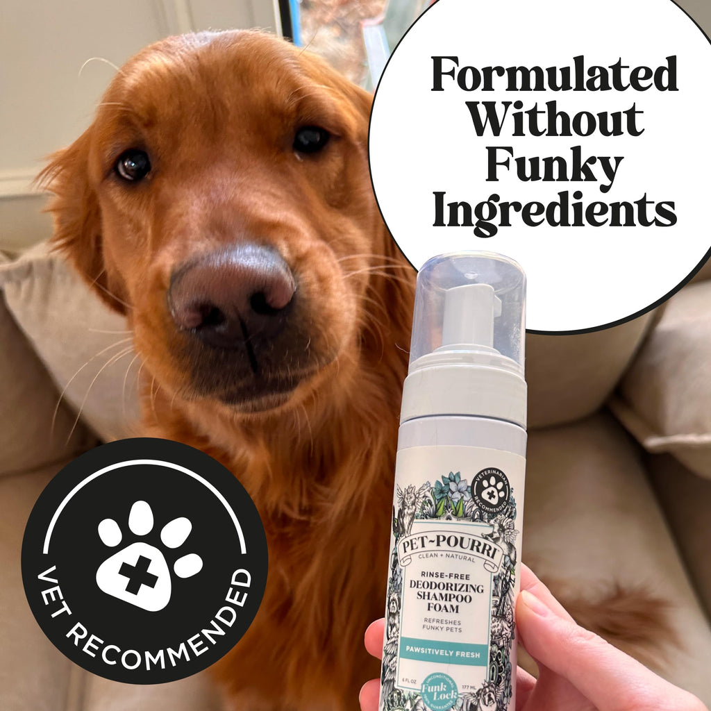 Rinse-Free Deodorizing Dry Shampoo for Dogs & Cats, 6 Fl Oz E115958