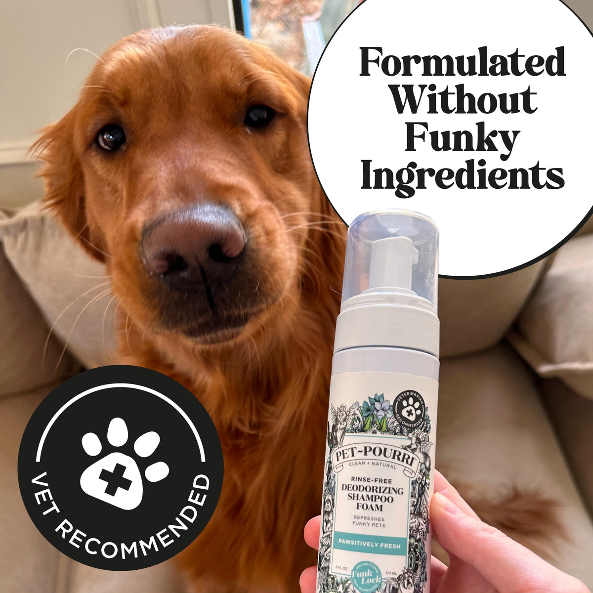 Rinse-Free Deodorizing Dry Shampoo for Dogs & Cats, 6 Fl Oz E115958