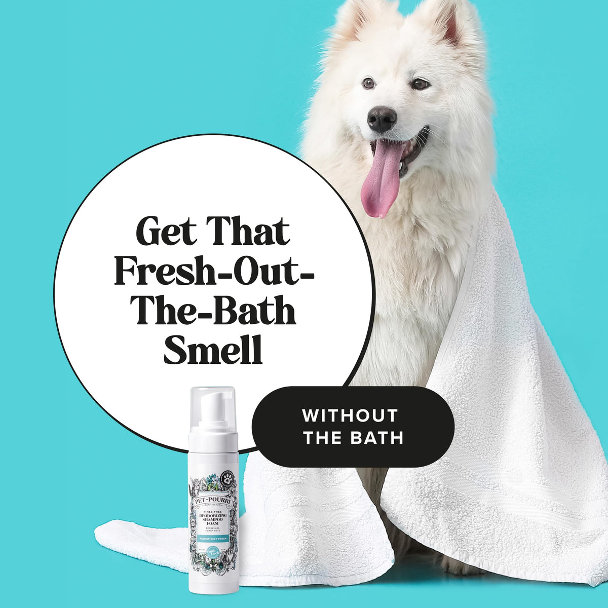 Rinse-Free Deodorizing Dry Shampoo for Dogs & Cats, 6 Fl Oz E115958