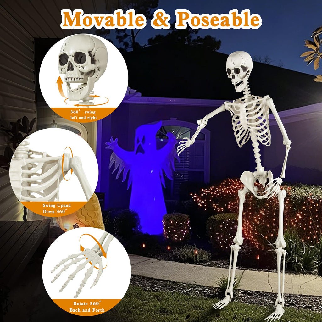 5.4ft Posable Skeleton F11103