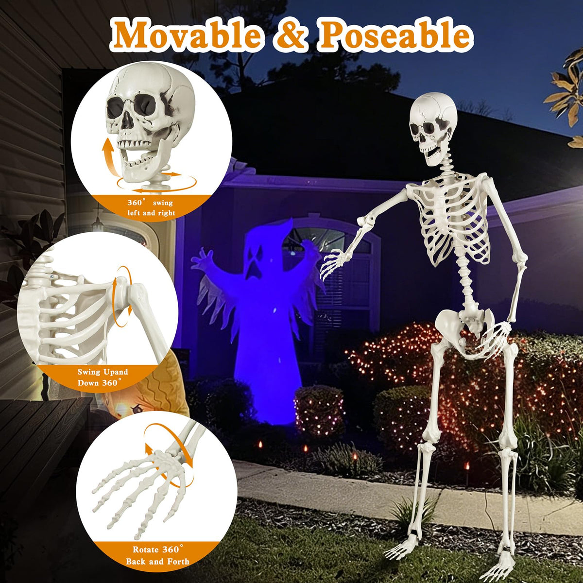 5.4ft Posable Skeleton F11103