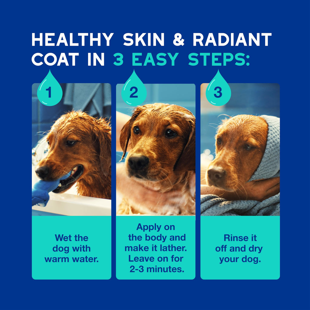 Dog Shampoo 16 fl oz C37383
