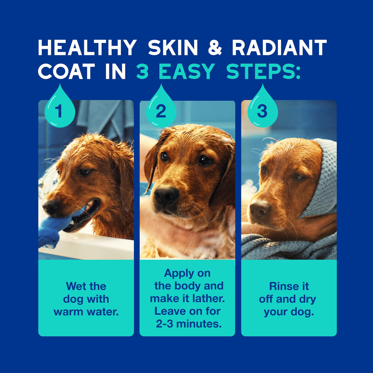 Dog Shampoo 16 fl oz C37383