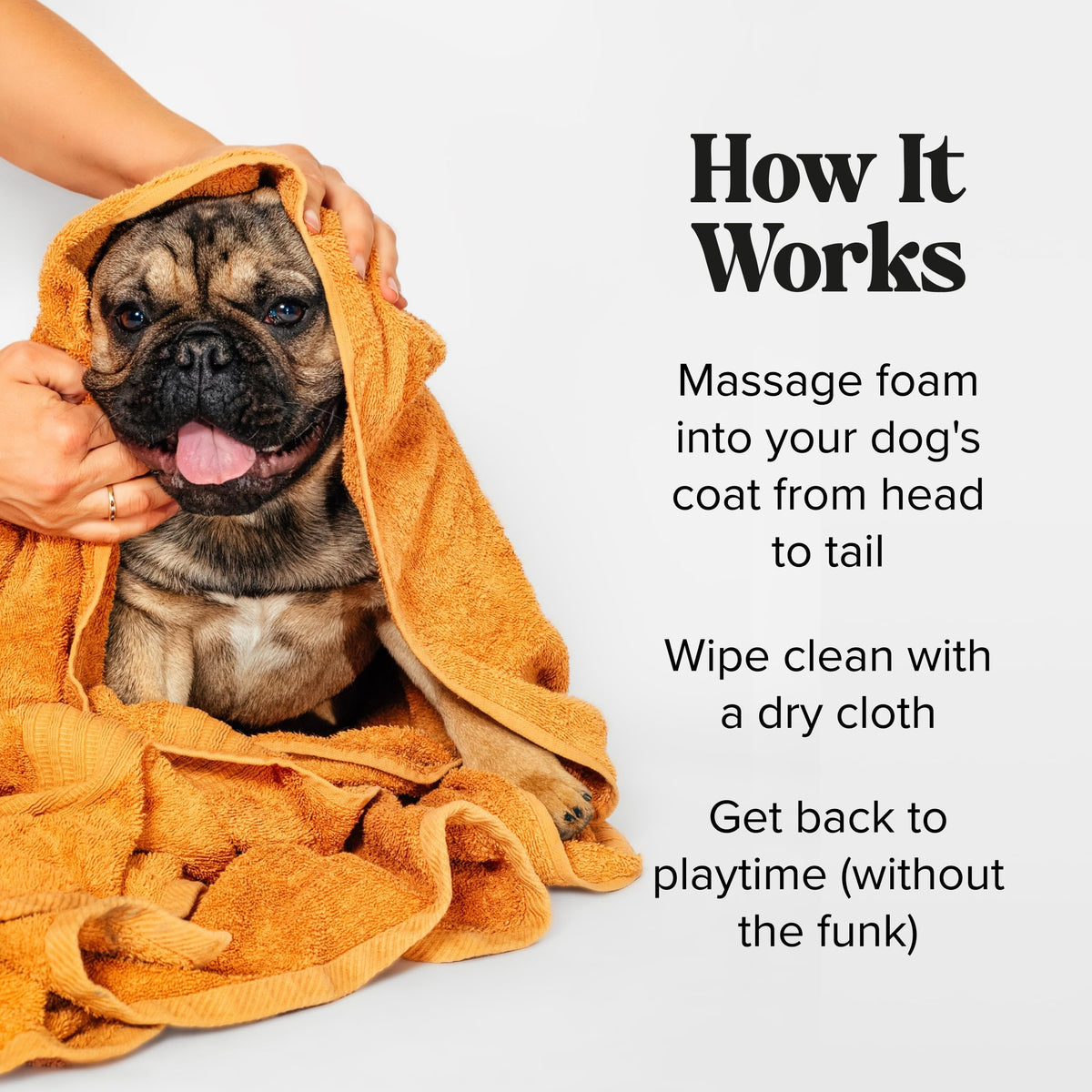 Rinse-Free Deodorizing Dry Shampoo for Dogs & Cats, 6 Fl Oz E115958