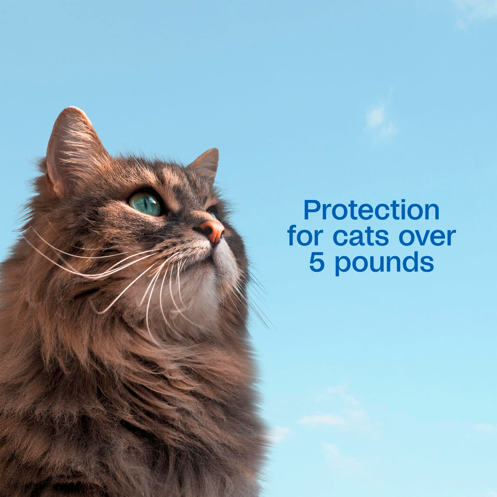 Flea and Tick Prevention Spot On for Cats 3 Pack R10274