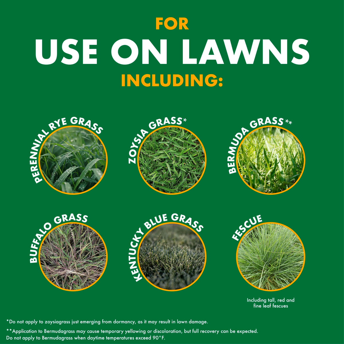Weed and Crabgrass Killer 1 Gal I15393