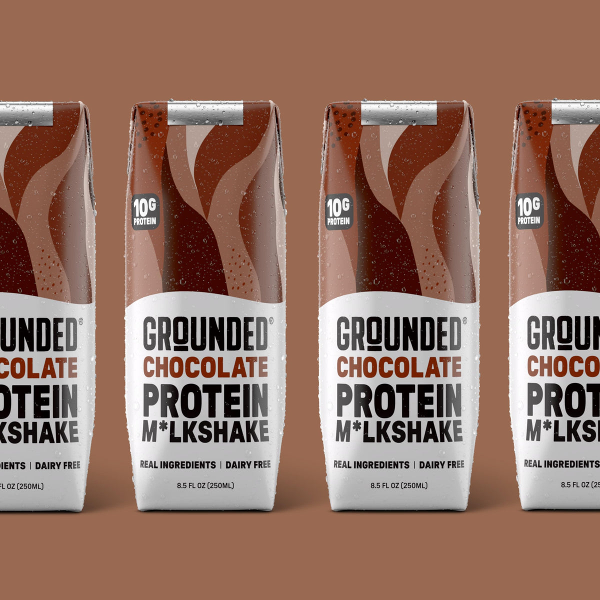 Chocolate Milk, Dairy Free, 10g Protein, 8.5 fl oz, 12 Pack W281