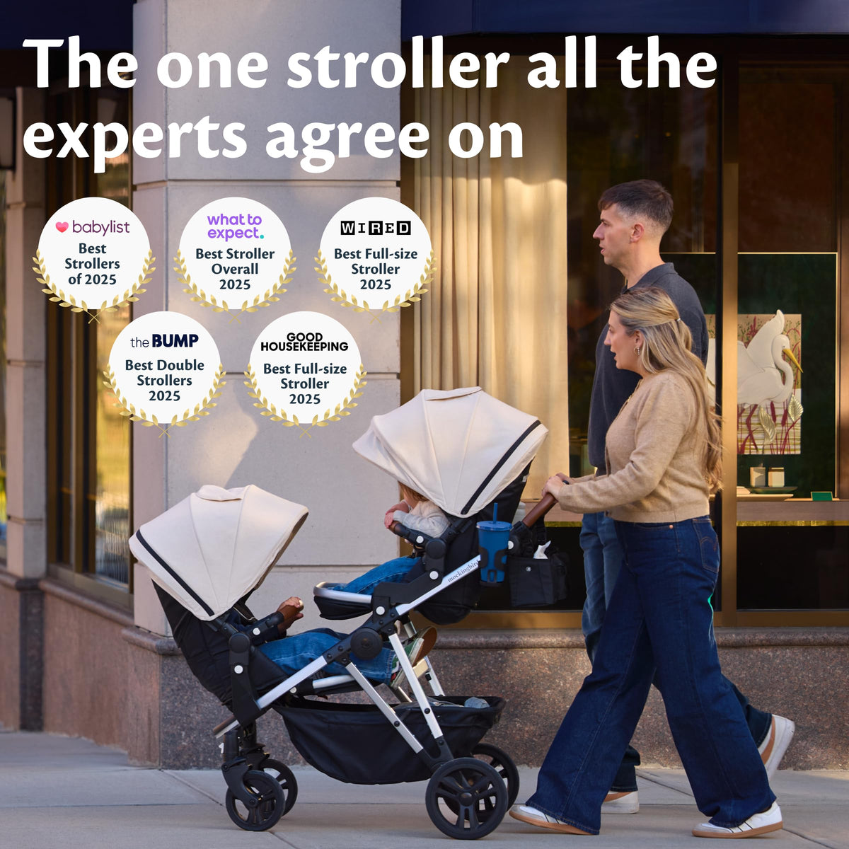 Convertible Stroller E252