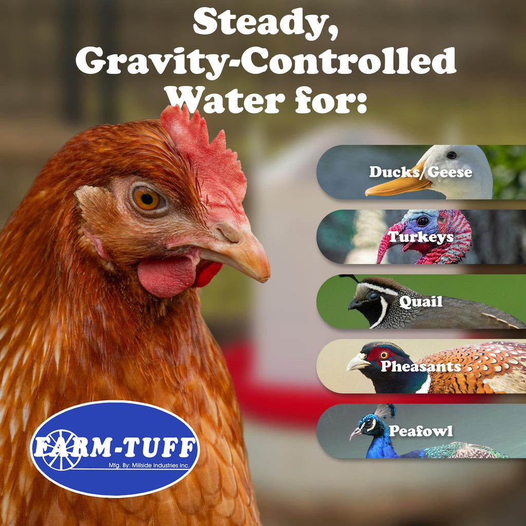 5 Gallon Plastic Poultry Waterer C3723