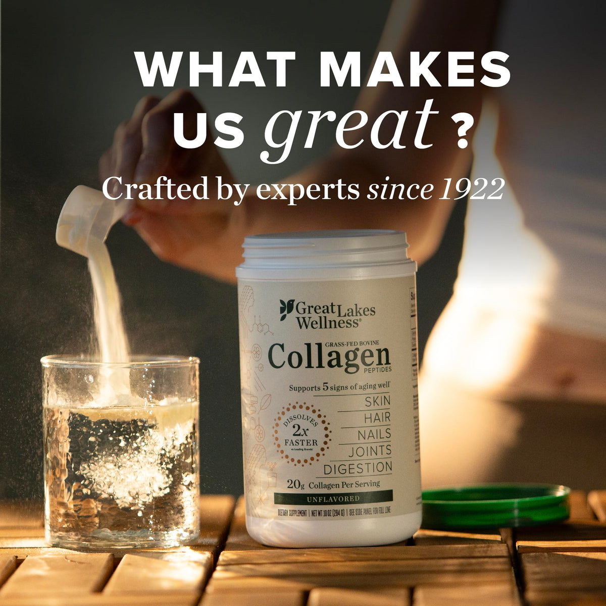 Collagen Peptides Powder, Chocolate, 10 oz V3781