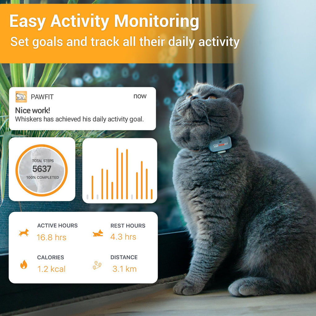 4G GPS Cat Tracker, Ultra-Light, Onyx Black K6070