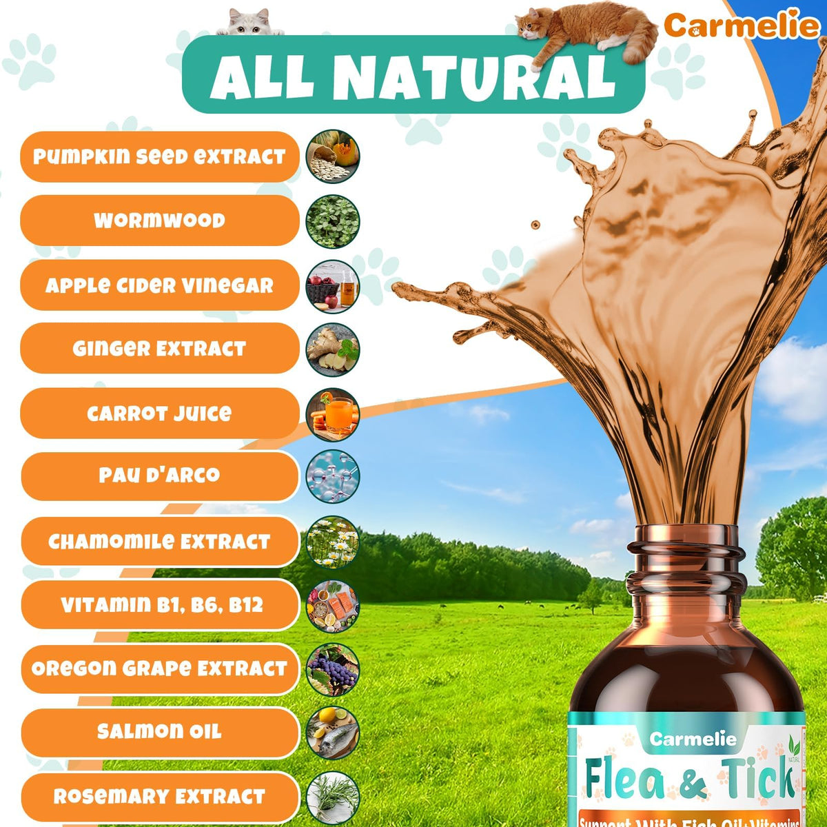 Flea and Tick Prevention for Cat with Vitamins Fish Oil 2 fl oz S2598