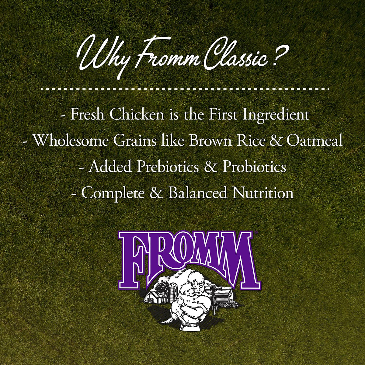 Dry Puppy Food Chicken Recipe 15 lb V987409