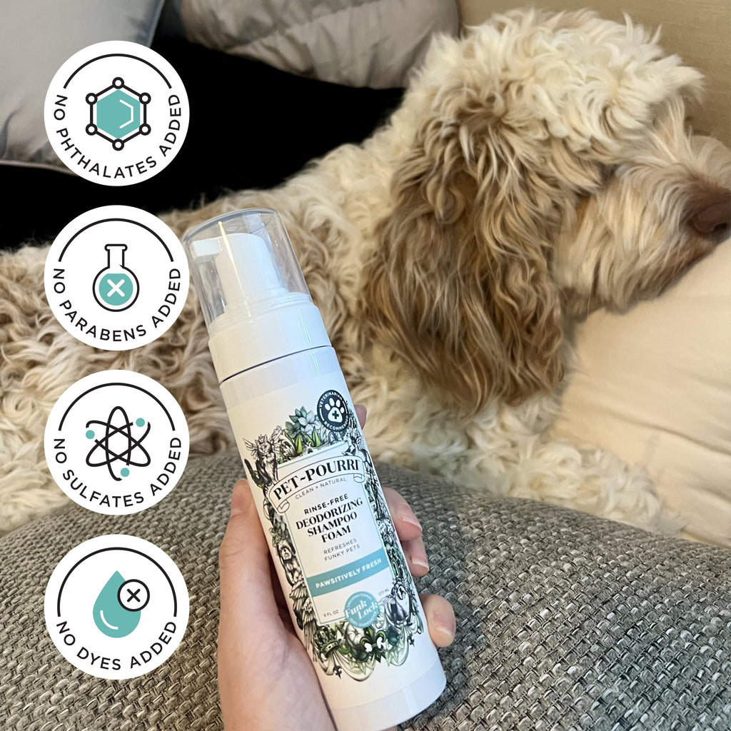 Rinse-Free Deodorizing Dry Shampoo for Dogs & Cats, 6 Fl Oz E115958