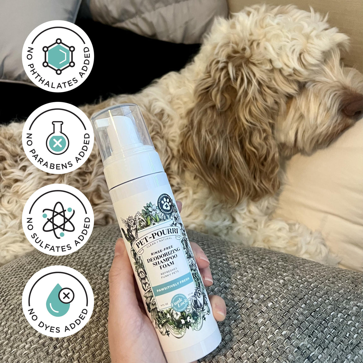 Rinse-Free Deodorizing Dry Shampoo for Dogs & Cats, 6 Fl Oz E115958
